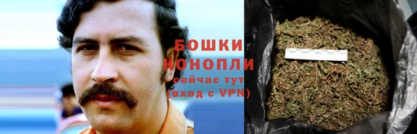 спиды Костерёво