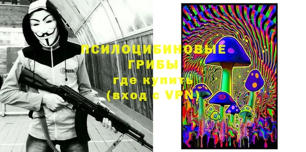 экстази Коряжма