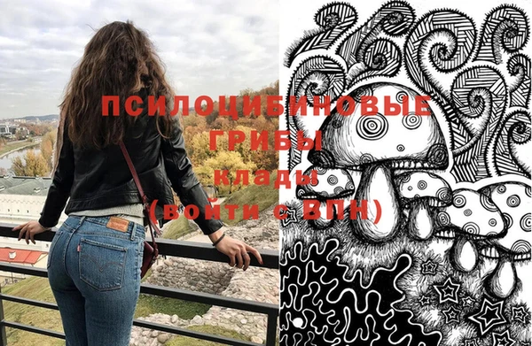 спиды Костерёво