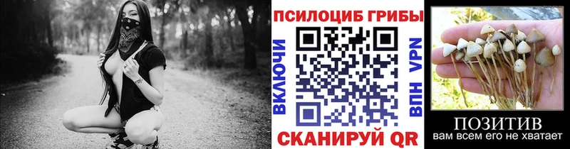 Псилоцибиновые грибы MAGIC MUSHROOMS  Купить закладки  Вуктыл 